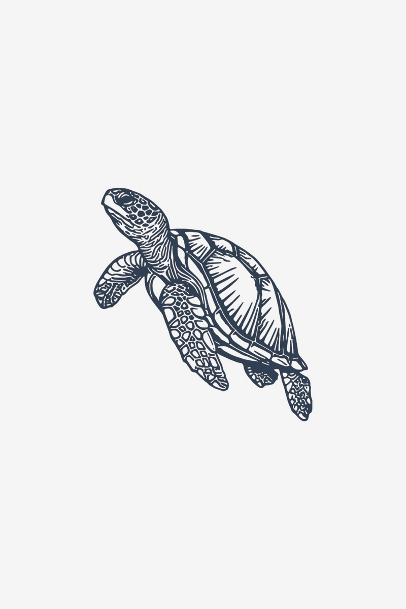 The turtle