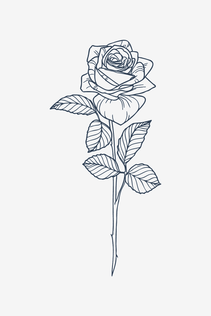 Classic Rose