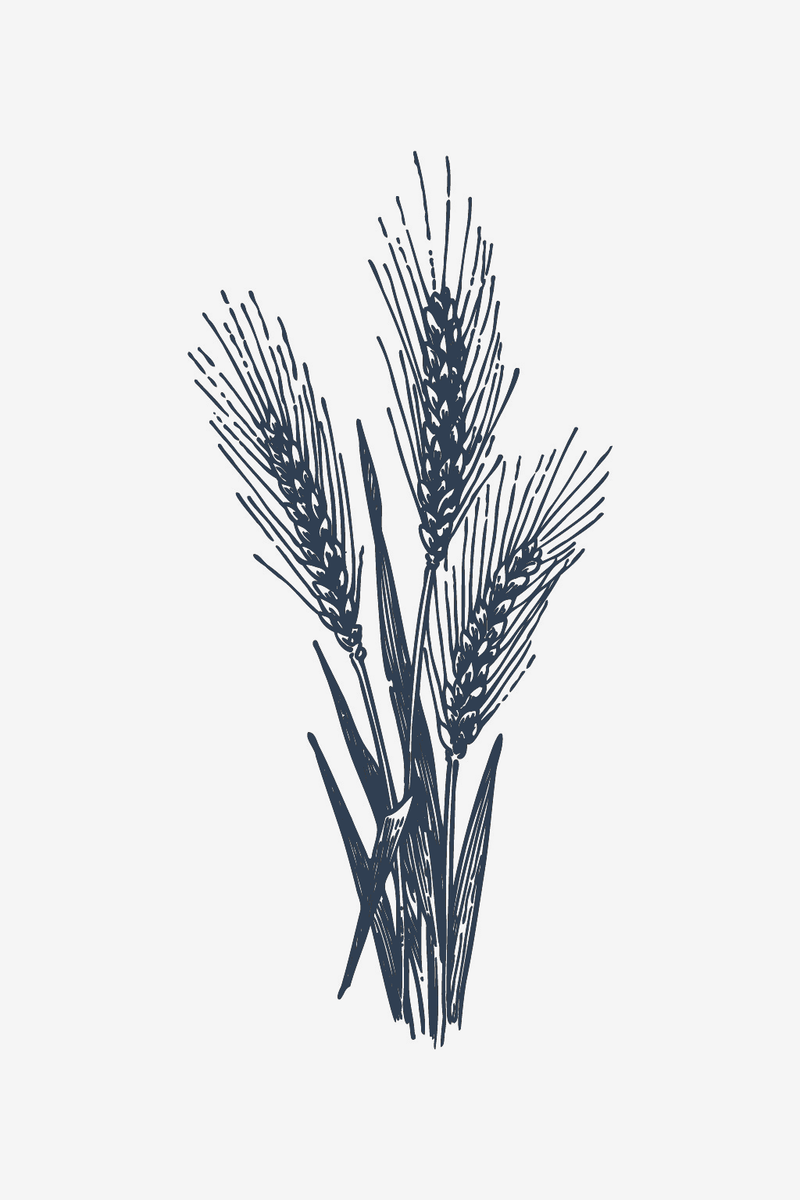 Wheat Spice