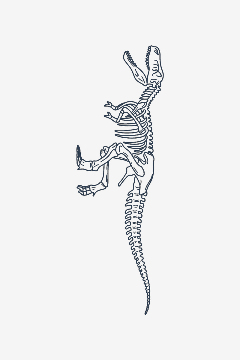 T-Rex skeleton
