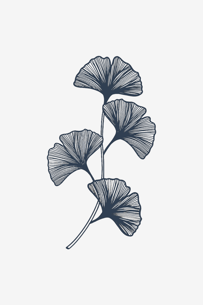 The Fan of Life