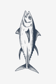 Wild Tuna