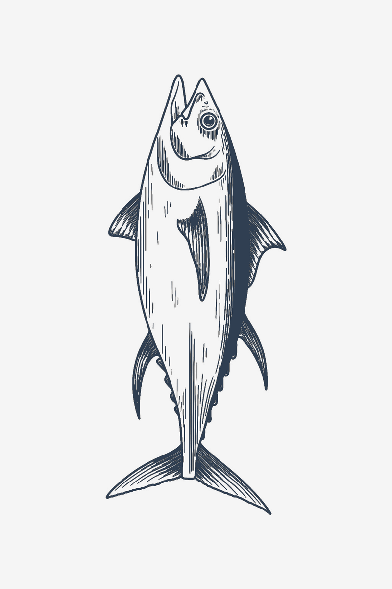 Wild Tuna
