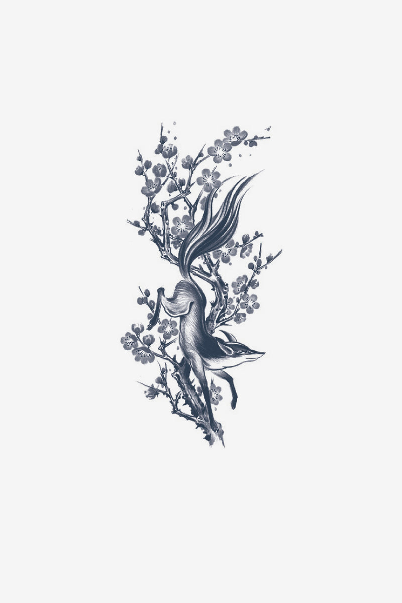 Fox