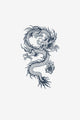 Dragon 3