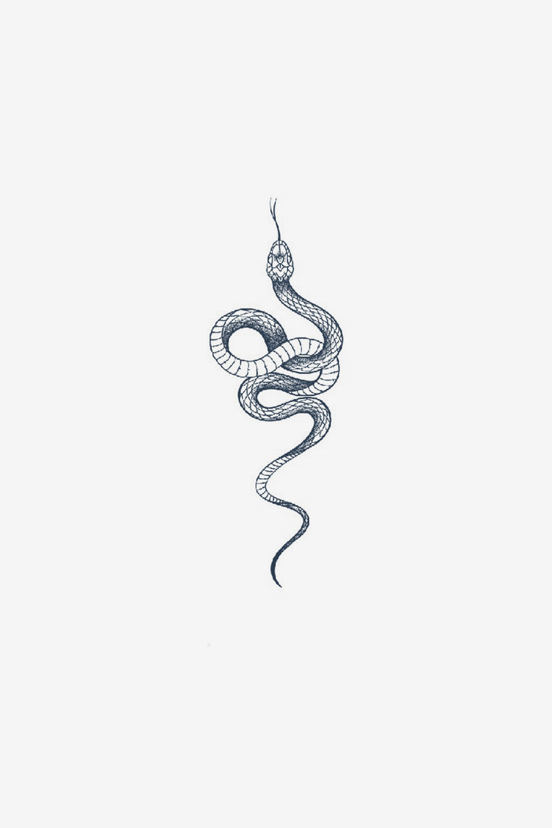 Graceful Snake