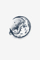 Secret of the Moon