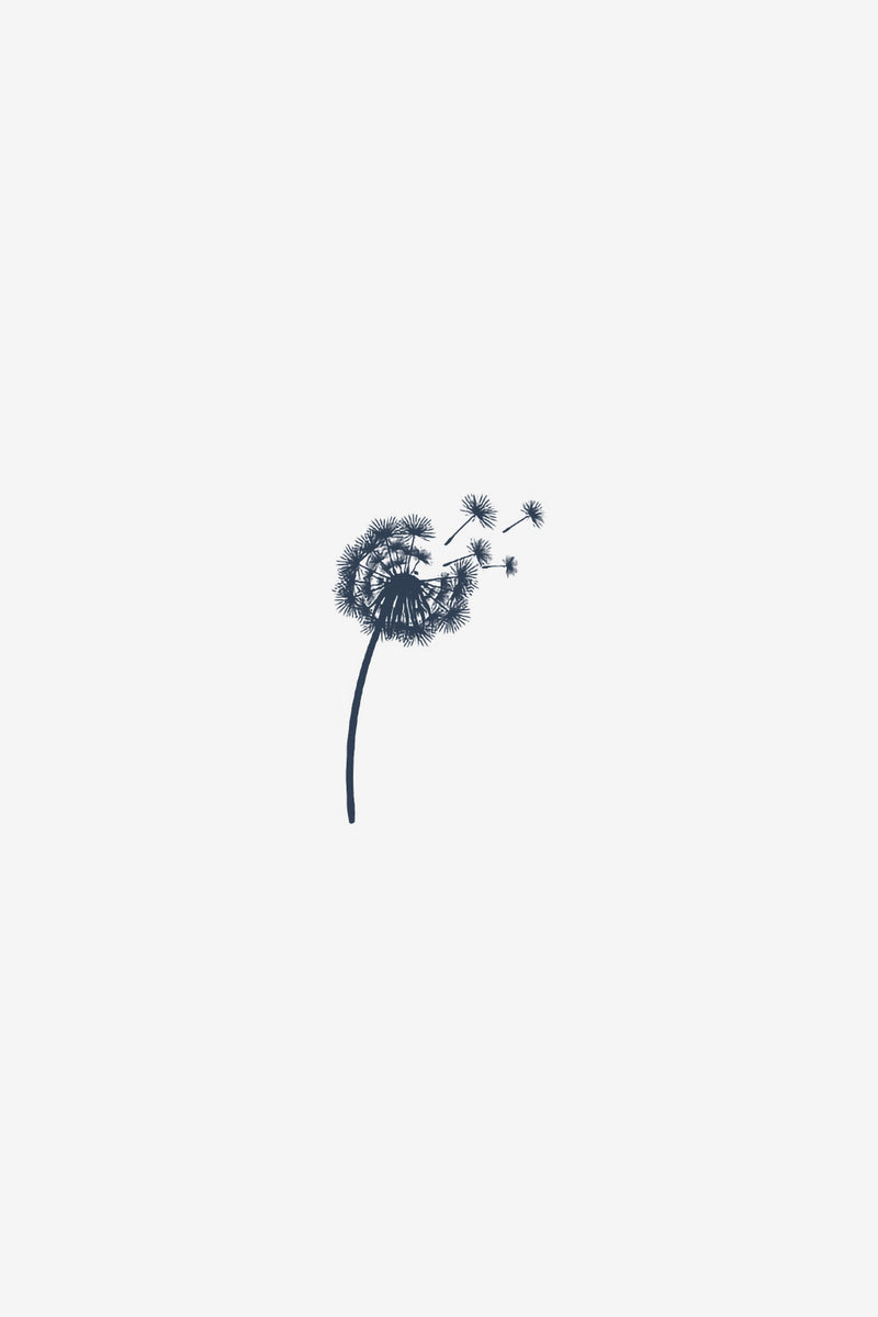 Wishes Carried